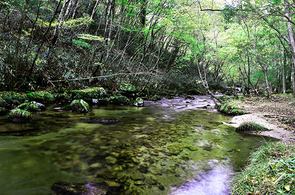 水のきれいな川内村