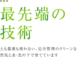 株式会社KiMiDoRi